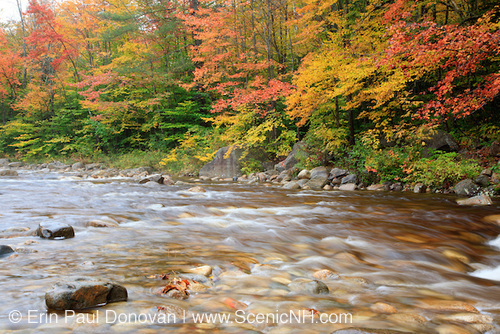 Foliage Report - White Mountains New Hampshire Photography Images