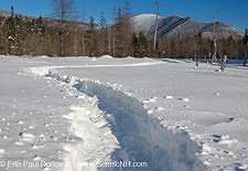 White Mountains New Hampshire photography by Erin Paul Donovan - Sawyer River Trail, New Hampshire