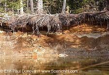 River Bank Erosion - White Mountains, New Hampshire USA