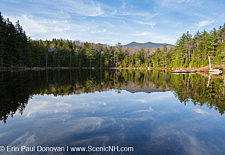 Black Pond - Lincoln, New Hampshire