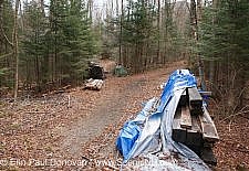 Pemigewasset Wilderness -White Mountains, NH