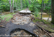 Tropical Storm Irene - Lincoln Woods Trail, New Hampshire