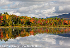 Autumn Foliage - New Hampshire