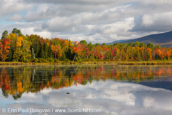 Scenic Autumn Foliage - White Mountains New Hampshire Photography