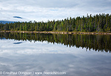 Shoal Pond - Pemigewasset Wilderness, New Hampshire