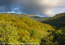 Lafayette Brook Scenic Area - White Mountains, New Hampshire USA