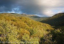 Lafayette Brook Scenic Area - White Mountains, New Hampshire USA