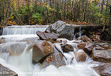 Pemigewasset Wilderness- Redrock Brook