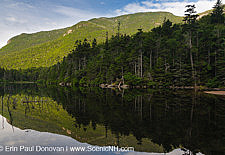 Greeley Ponds Scenic Area - White Mountains, NH