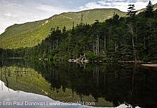Greeley Ponds Scenic Area - White Mountains, NH