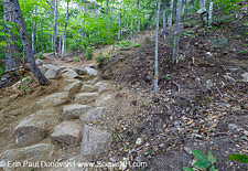 Davis Path in the White Mountains New Hampshire | ScenicNH Photography LLC