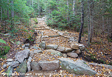 Mount Tecumseh Trail - White Mountains, New Hampshire