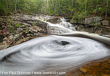 Cascade Brook - Franconia Notch State Park, New Hampshire