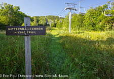 Mittensill-Cannon Trail - Cannon Mountain