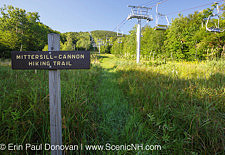 Mittensill-Cannon Trail - Cannon Mountain
