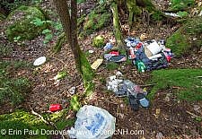 Back-country camping impact along the Sawyer River Trail in the White Mountains, New Hampshire USA