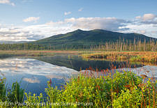June, New Hampshire White Mountains