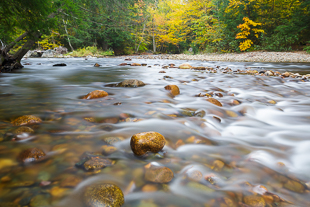 Autumn, White Mountains
