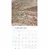 2016 White Mountains Calendar February Photo