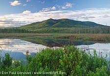 Pondicherry Wildlife Refuge - Cherry Mountain from Moorhen Marsh along the Cohos Trail in Jefferson, New Hampshire USA