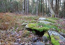 Mt. Cilley Settlement ( Peeling ) - Woodstock, New Hampshire USA