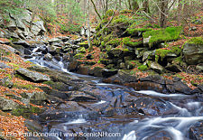 November, Whitcher Brook in Benton, New Hampshire USA