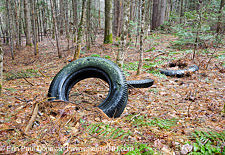 Abandoned Tires - Easton, New Hampshire