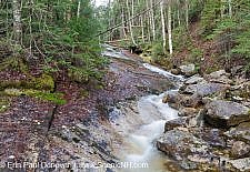 Tecumseh Rapids - Waterville Valley, New Hampshire