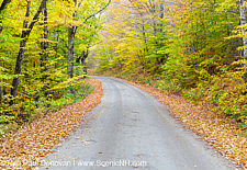 Autumn Foliage - Sawyer River Road, New Hampshire