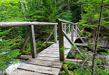Miriam Sanders Bridge - Low and Burbank's Grant, New Hampshire