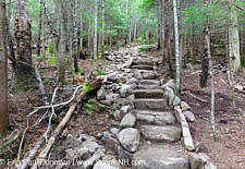 Stone Steps - Mt Tecumseh Trail, New Hampshire