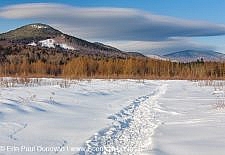 Downes - Oliverian Brook Ski Trail - White Mountains, New Hampshire
