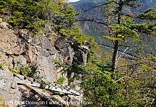 Hi-Cannon Trail - White Mountains, New Hampshire