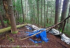 Human Impact on Nature - White Mountains New Hampshire
