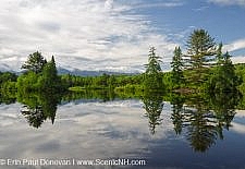Coffin Pond - Sugar Hill, New Hampshire