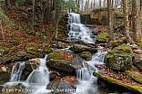 Rollo Fall - Randolph, New Hampshire