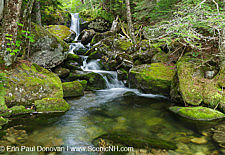 Cold Brook in Low and Burbanks Grant, New Hampshire