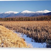 Pondicherry Wildlife Refuge Canvas Print