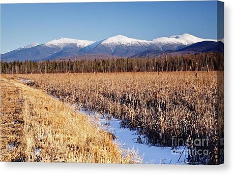 Pondicherry Wildlife Refuge Canvas Print