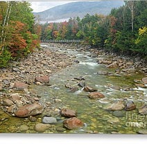 Lincoln Woods Trail Bridge - Autumn Season