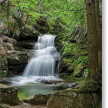 Cold Brook Fall - Randolph, New Hampshire