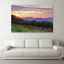 Prints