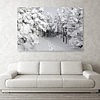 Mount Osceola Trail Photography Print - White Mountains, New Hampshire