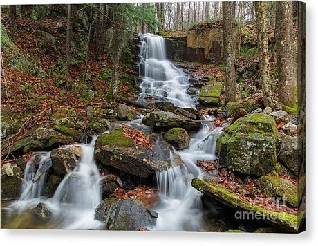 Rollo Fall Canvas Print