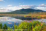 Cherry Mountain - Moorhen Marsh, Pondicherry Wildlife Refuge