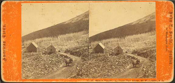 The Miriam and Ira D. Wallach Division of Art, Prints and Photographs: Photography Collection, The New York Public Library. "Silver Forrest [sic] and Half-Way House, Mt. Washington, N.H.