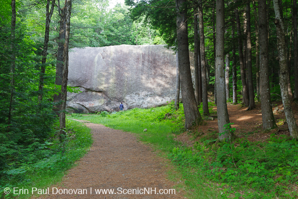 Madison Boulder Natural Area