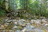 Redrock Brook - Pemigewasset Wilderness, New Hampshire