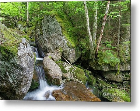 Cold Brook - White Mountains, New Hampshire